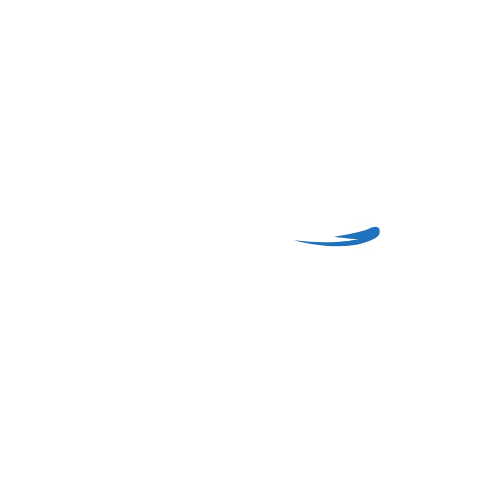 AUTO-MS – Detail (Originalaufnahme von der bestehenden Website)
